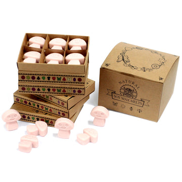 Box of 6 Wax Melts - Old Ginger - Hira Online